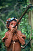 Amazon_indian__shooting_blow_gun