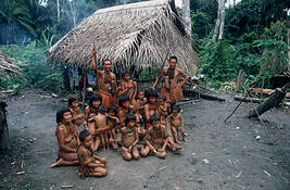 Extended_yagua_family