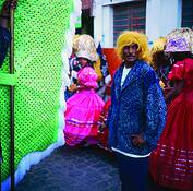 Condado_wig