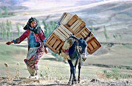 Kurdish_woman_2