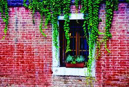 Brick_house_with_ivy