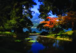 Bellagio_gardens