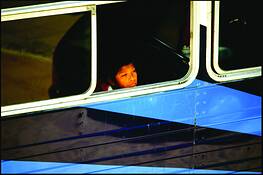 Blue_striped_bus