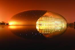 The_golden_egg
