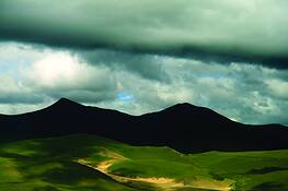 Untitled_7