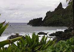 Pitcairn_island