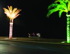 Night_skaters