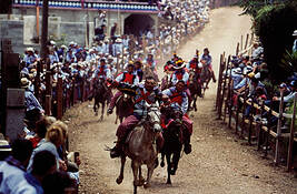 Horse_races