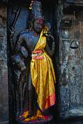Hermaphrodite_shiva