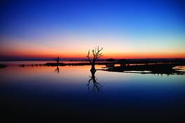Untitled_5