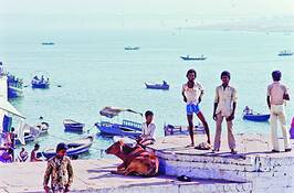 Random_india_4