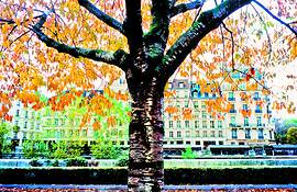 Random_paris_10