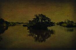 Vanishing_florida_1