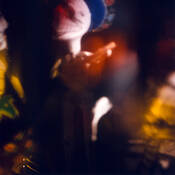 Untitled_9