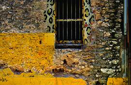 Leopard_window