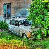 Under_fig_tree