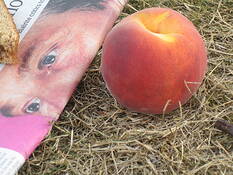 Blair_and_the_giant_peach