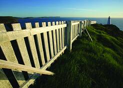 Fence