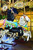 Carousel_horse_1