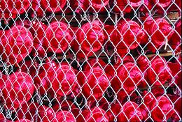 Fire_hydrants