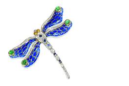 03_david_webb_dragonfly_clip