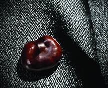 Chestnut