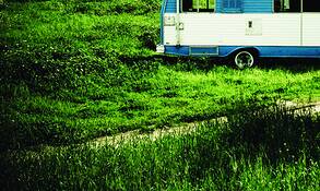 Grass_for_travel