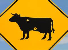Open_range