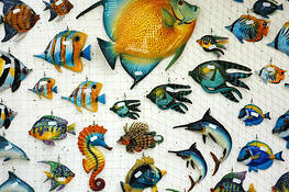 Fishy