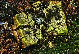 National_park_1
