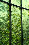 Window_9