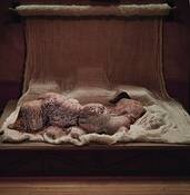 Figure_and_lamb