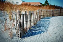 Shore_set-01
