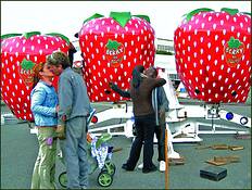 Blushing_strawberries