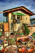 Dignity_village_home__41_winter_garden