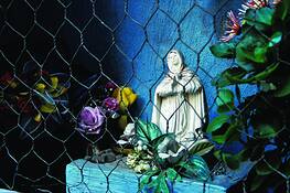 Madonna_and_chicken_wire