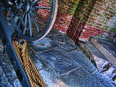Cannon