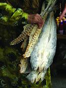 Fish_monger