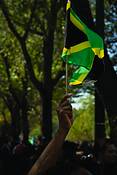 Arm_with_jamaican_flag