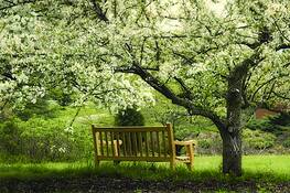 Bench_4