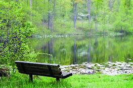Bench_5