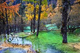 Woods_and_waters