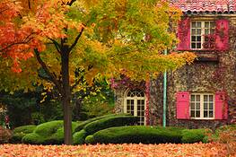 The_house_with_red_shutters