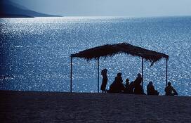 They_came_down_to_the_dead_sea_shore