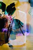 Still_life_with_savannah_glass