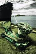 A_tide_strong