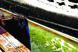 Port_water