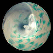 Shell__2