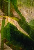 Through_the_greenhouse_window