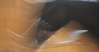 Ghost_dressage_1